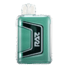 Raz TN9000 Miami Mint Flavor Disposable Vape